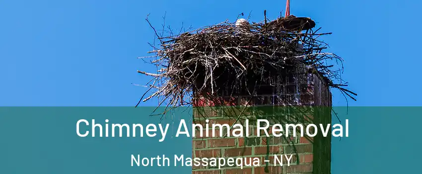  Chimney Animal Removal North Massapequa - NY