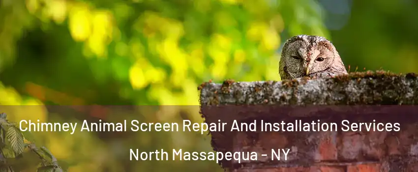  Chimney Animal Screen Repair And Installation Services North Massapequa - NY