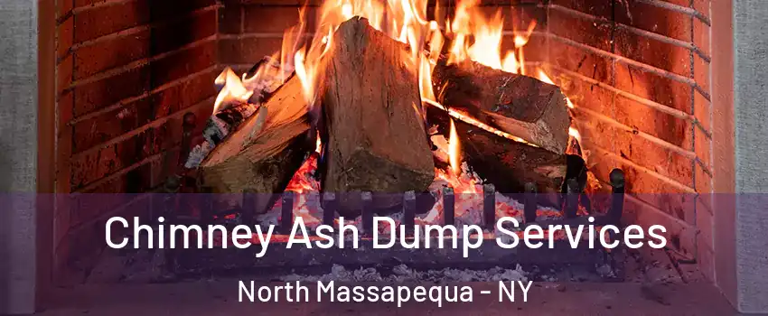  Chimney Ash Dump Services North Massapequa - NY