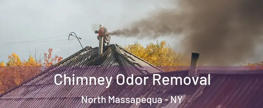  Chimney Odor Removal North Massapequa - NY
