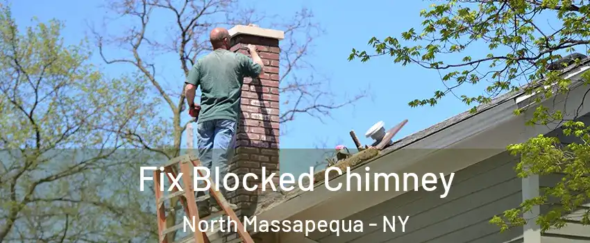  Fix Blocked Chimney North Massapequa - NY