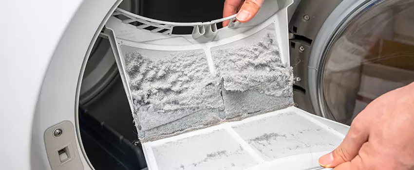 Best Dryer Lint Removal Company in North Massapequa, New York