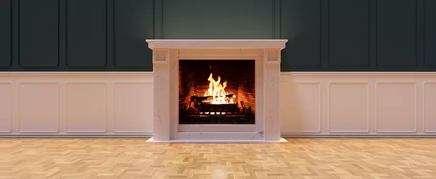 Napoleon Electric Fireplaces Inspection Service in North Massapequa, New York