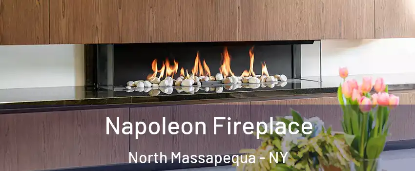  Napoleon Fireplace North Massapequa - NY